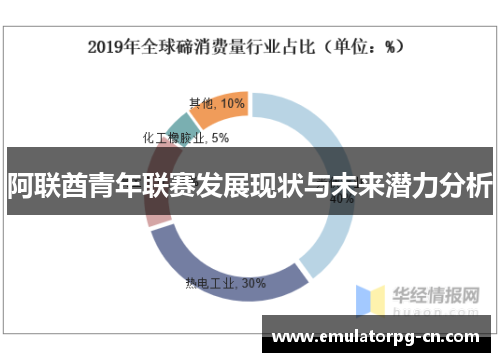 阿联酋青年联赛发展现状与未来潜力分析